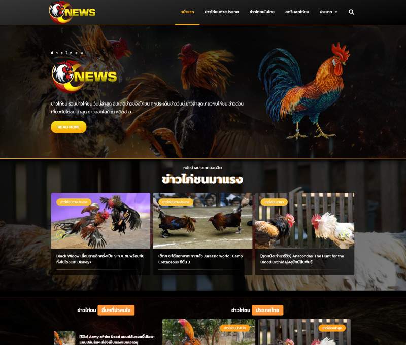 NewsKai