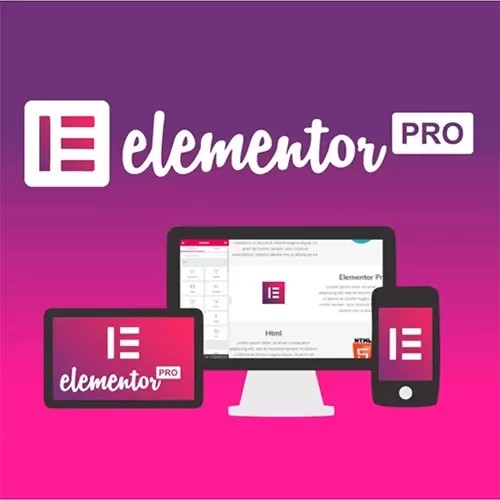 Elementor Pro v4.1.1 WordPress Plugin Download